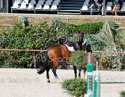 Apolloni Baby Arko GioCav2013 S5 1917 : Apolloni Gianluca, Baby Arko, Campionati Italiani Giovani Cavalli, Cattolica, ph Stefano Secchi ©